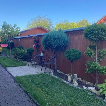 Pokoje Sylwia Z Aneksami Kuchennymi W Kazdym Pokoju Ustroń Exteriör bild